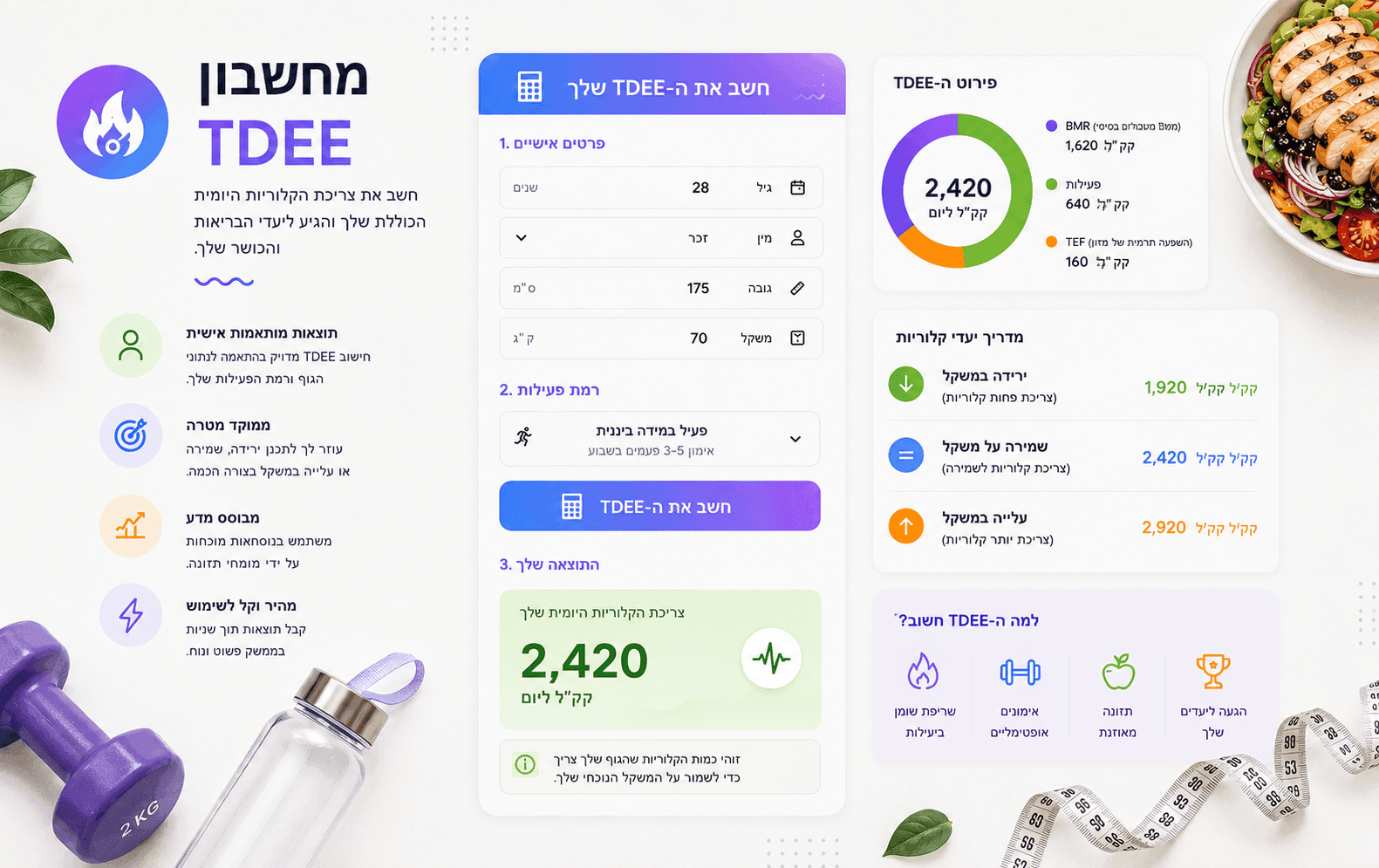 מחשבון TDEE המציג את צריכת הקלוריות היומית המשוערת וקלוריות התחזוקה.