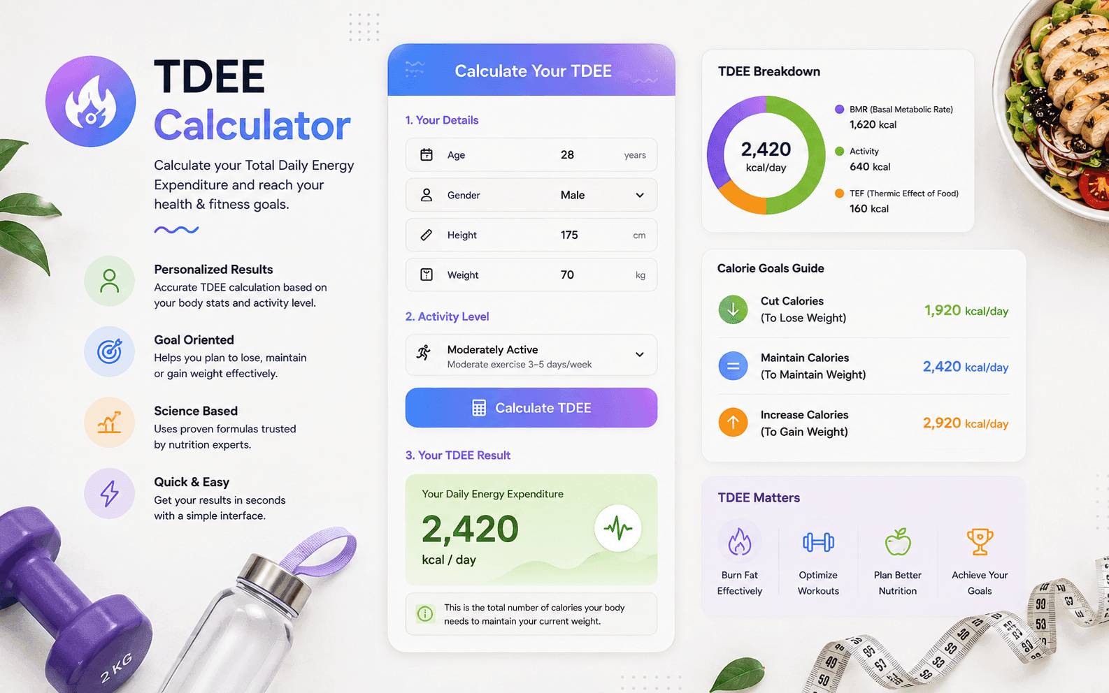 TDEE Calculator showing estimated daily calorie needs and maintenance calories.